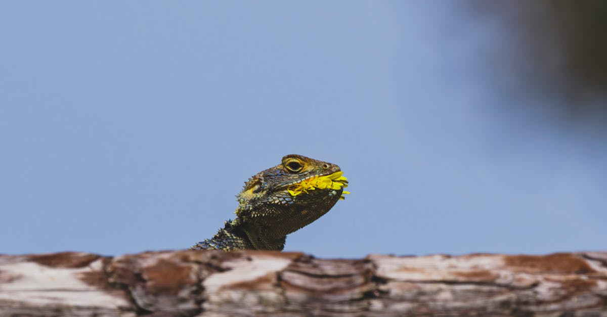 découvrez mifid ii, la directive européenne qui renforce la protection des investisseurs et améliore la transparence sur les marchés financiers. informez-vous sur ses enjeux, ses impacts pour les entreprises et son évolution dans le secteur financier.